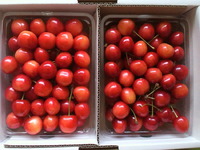 2011063010410001