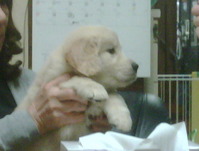 IMG00111-20100530-2022