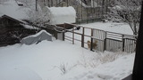 90ee730a.jpg