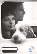 Unbearable Lightness of Being