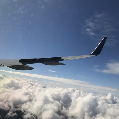 写真 2019-02-17 11 10 59