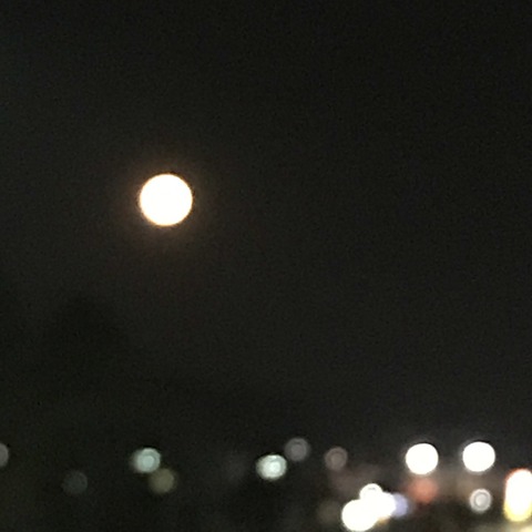 写真 2017-12-03 17 36 10