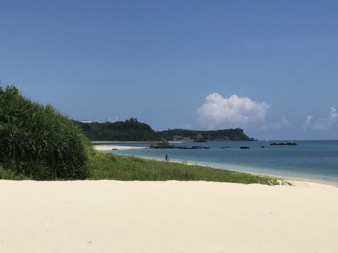 写真 2017-07-26 11 53 58