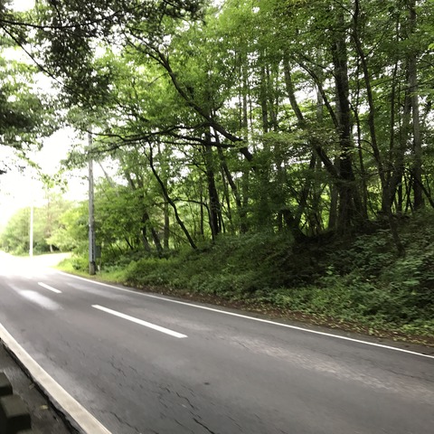 写真 2017-07-30 12 56 36