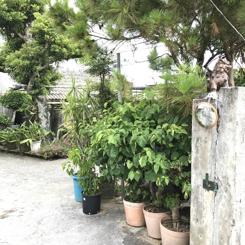 写真 2017-07-25 12 30 58