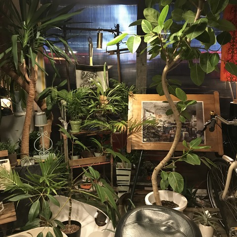 写真 2018-05-06 22 43 00