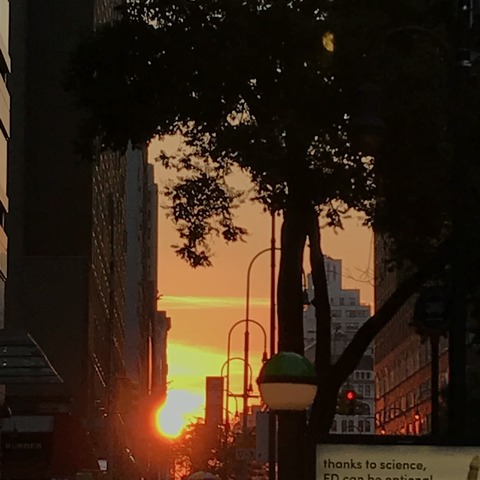 写真 2018-07-02 9 10 47