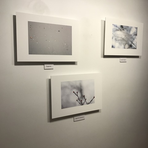 写真 2018-05-30 20 01 06
