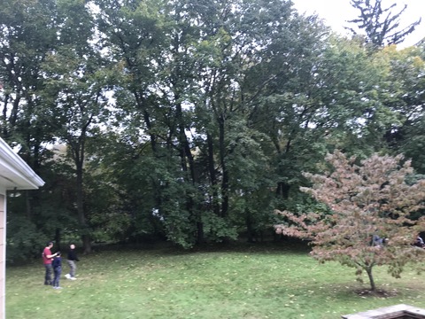 写真 2018-10-28 16 39 31