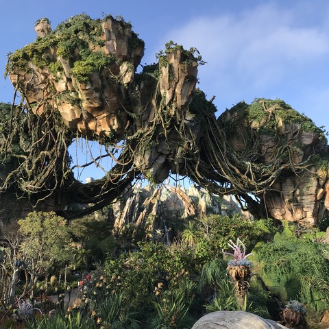 写真 2018-02-21 8 15 23 (1)