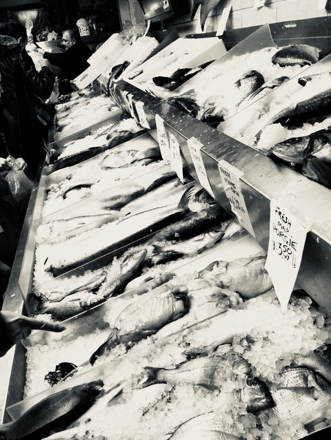 写真 2018-12-23 6 15 11