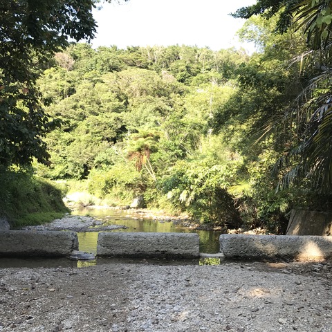 写真 2017-07-26 16 52 44