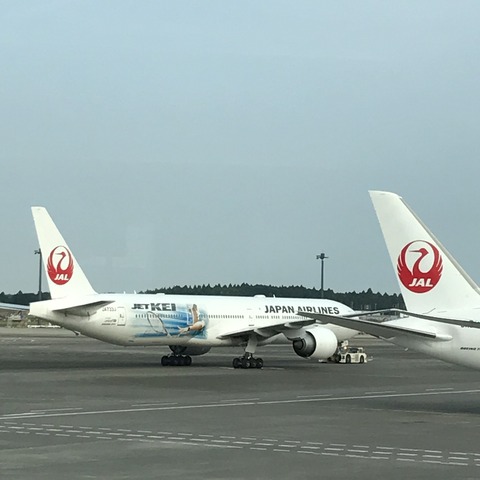写真 2017-08-06 3 44 33