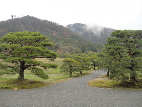 DSC04040