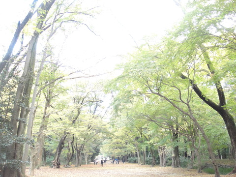 DSC05903