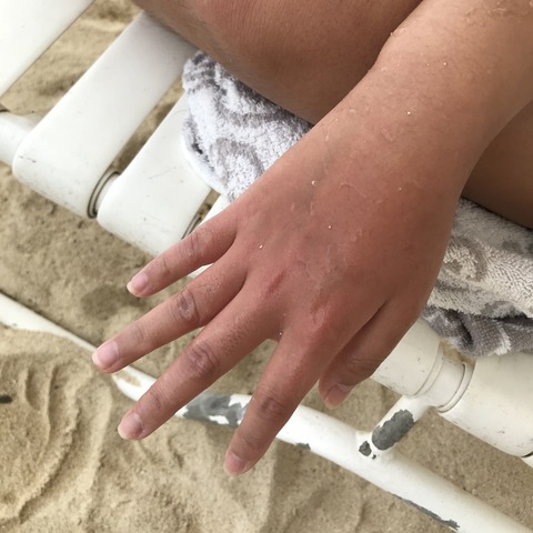 写真 2018-07-23 11 42 38