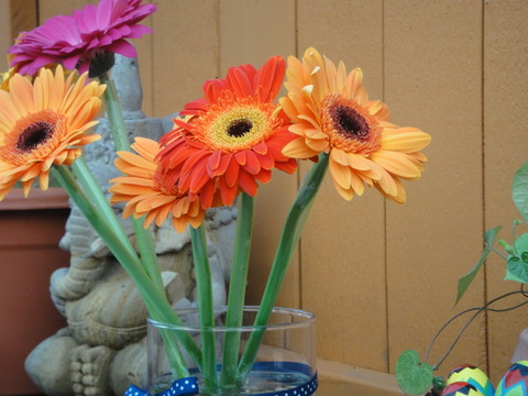 DSC01965