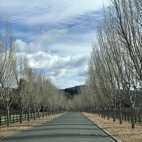 写真 2019-02-20 11 44 09