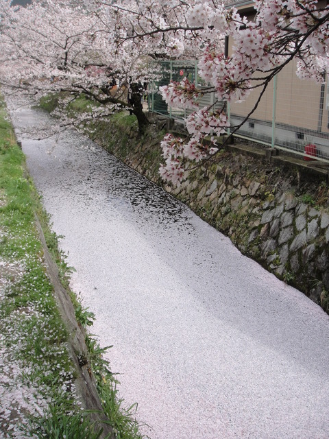 DSC04092
