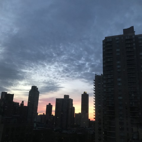 写真 2017-08-14 5 46 33