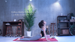 homeyoga_pose30_updog