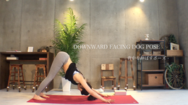 homeyoga_pose4_downdog_01