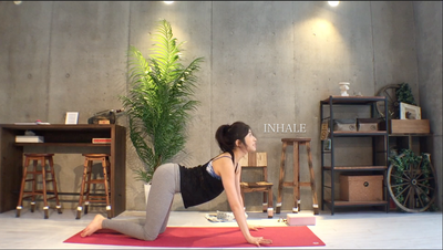 homeyoga_pose30_17_catcow02