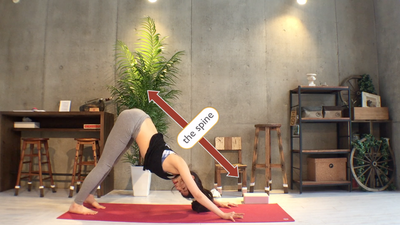 homeyoga_pose4_downdog_02