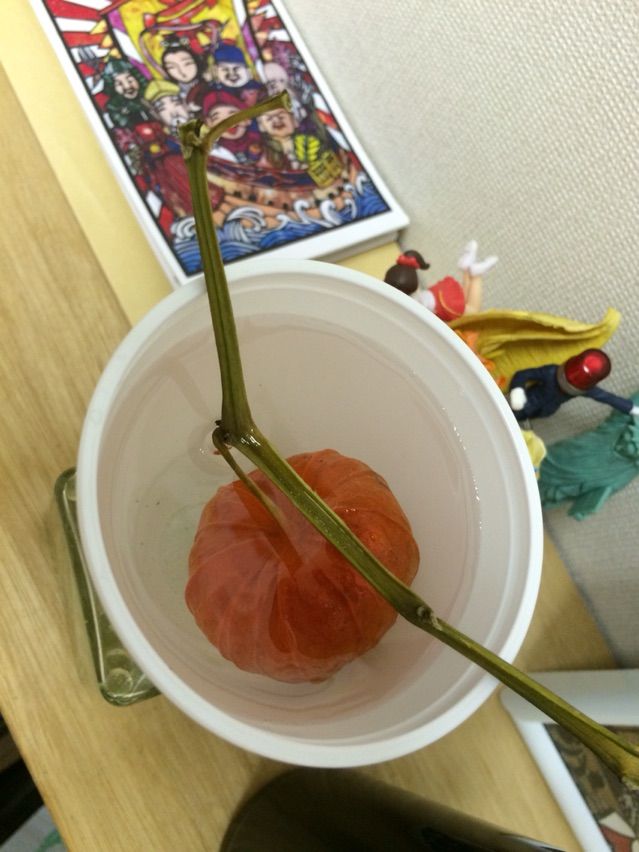 2016-09-14-08-32-18