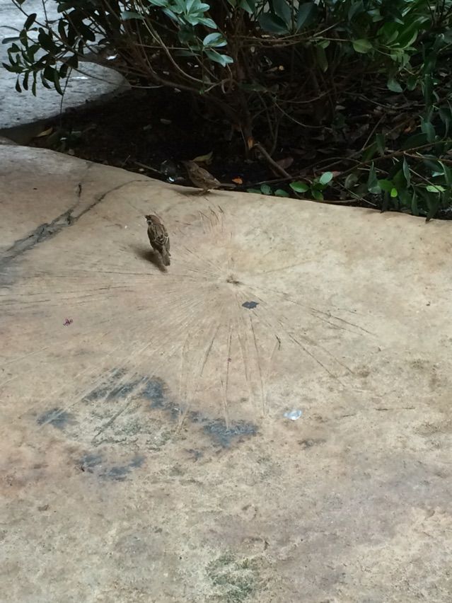 2016-09-19-16-07-31