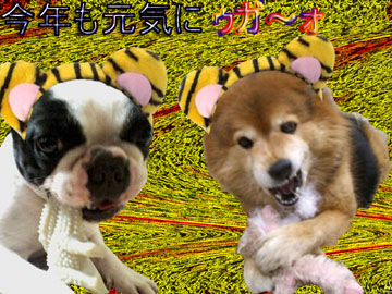 年賀1