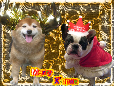 クリスマス