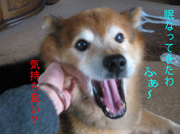 ○2