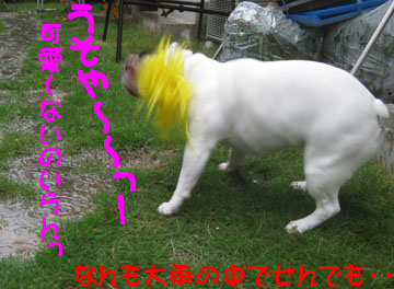 ウソやろ〜