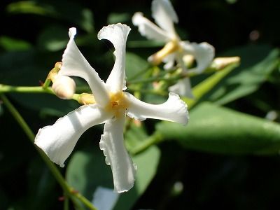 P5260017