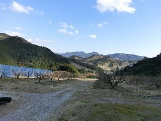 CIMG1832