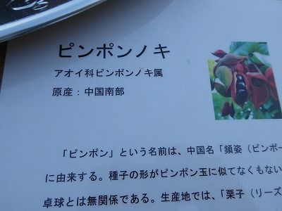 P1060383