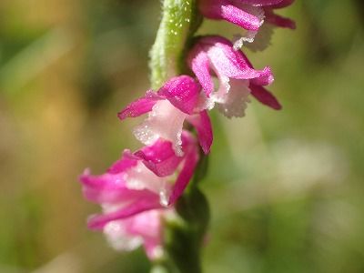 P6280076