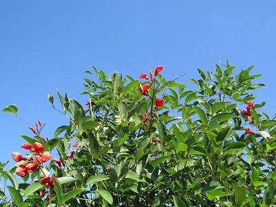 IMG_7688