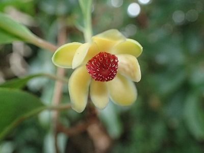 P9060016