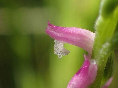 P6280090