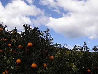 DSC01832
