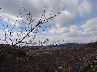 DSC01950