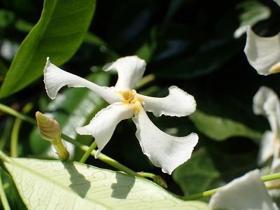 P5260016