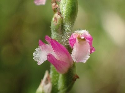 P6280101