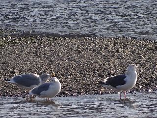 DSC01843