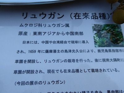 P1060379
