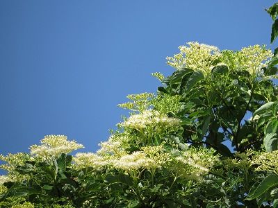 IMG_2848