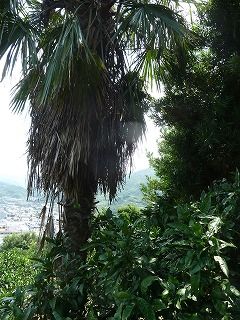 P1080409