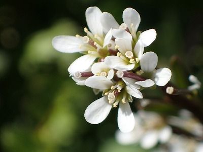 P2280017